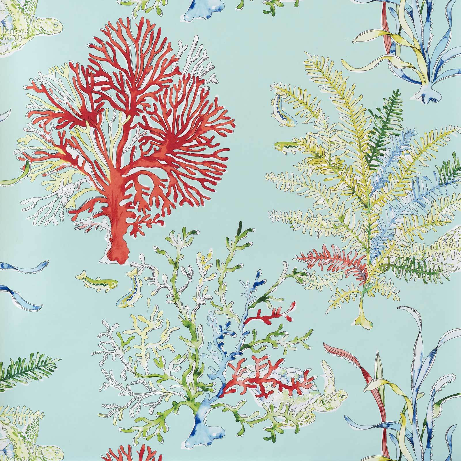 Aqua coral Wallpaper ocean reef turtle