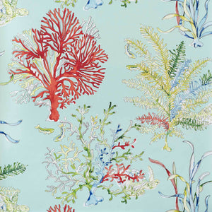 Aqua coral Wallpaper ocean reef turtle