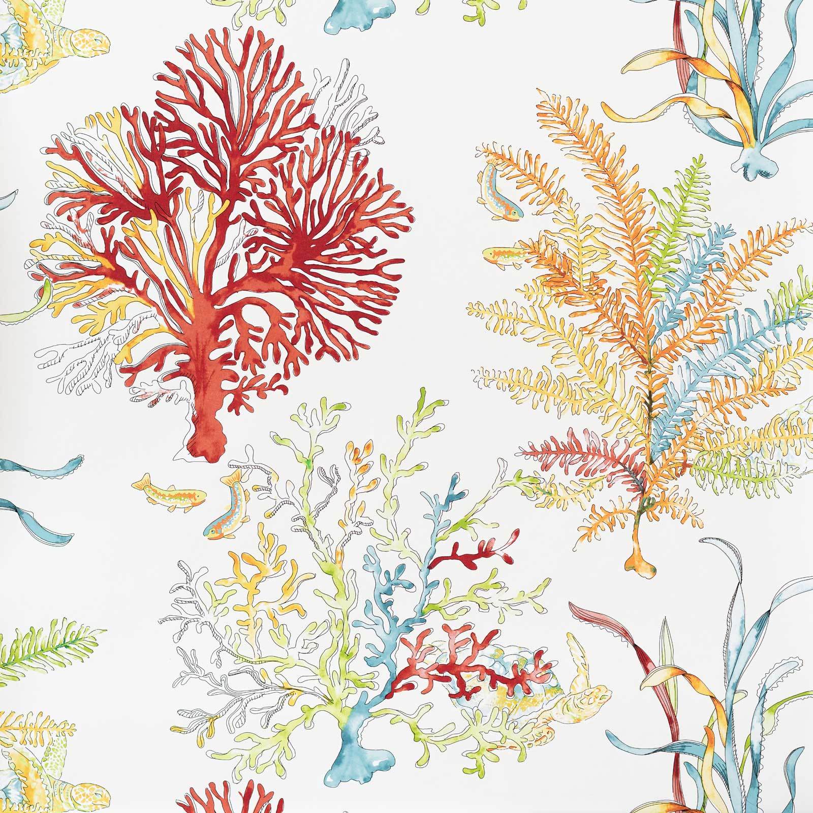 Red coral wallpaper ocean reef turtle