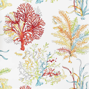 Red coral wallpaper ocean reef turtle