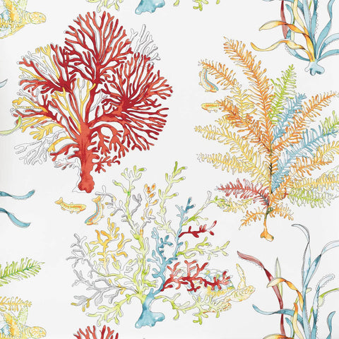 Red coral wallpaper ocean reef turtle